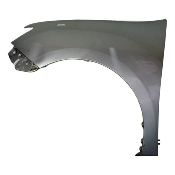 Para-lama L/e Sandero Life 2020 (prata) C/detalhes