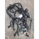 Chicote Injeção Motor Versa 1.6 16v 2018