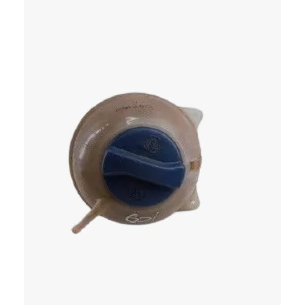 Reservatório Água Radiador Saveiro 2000 5x0121407