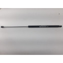 Amortecedor Porta Malas Fiat Argo  2018 520460570