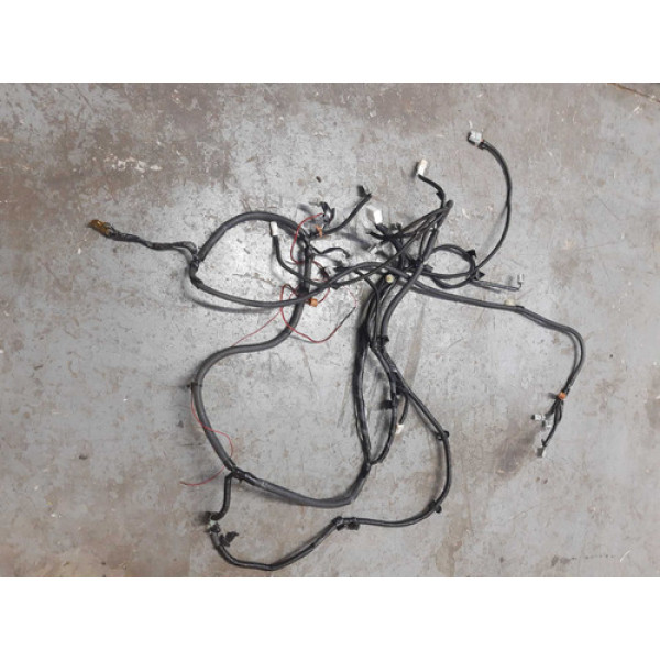 Chicote Porta Traseira Esquerda Civic 2008