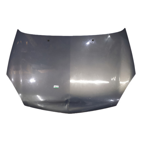 Capô Renault Clio 2009 (cinza)