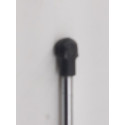Amortecedor Porta Malas Fiat Argo  2018 520460570