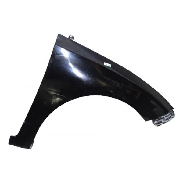 Para-lama Dianteiro Direito Hb20 2015 11754