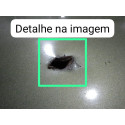 Capô Duster Oroch Dynamic 2.0 16v 2017 (verde)